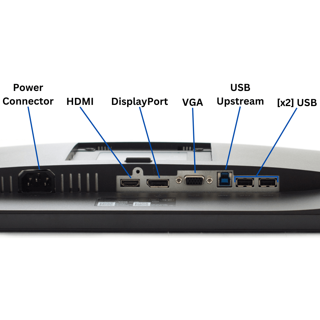 Dell Professional P221H 22&quot; Monitor Port View