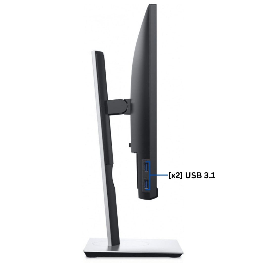 Dell Professional P221H 22&quot; Monitor Side Port  View