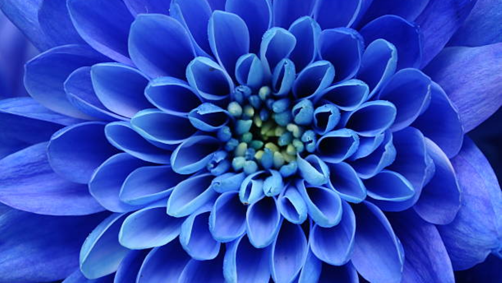 Spring Has Sprung! Is Your PC Still Snoozing?