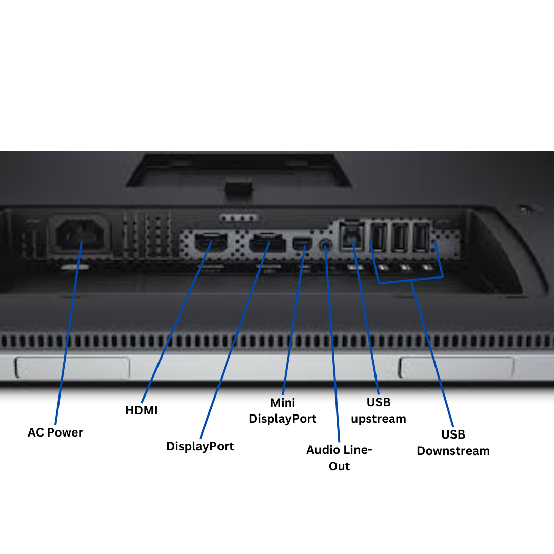 Back view of a computer monitor with labeled ports on a white background