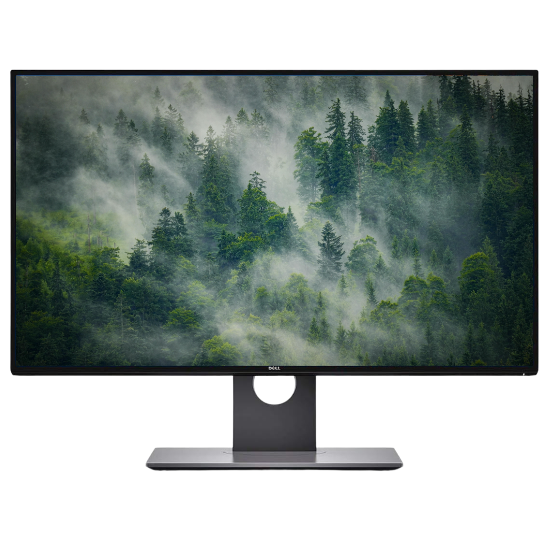 Front-facing view of the Dell UltraSharp U2717D Monitor, with a bird's-eye view of a misty forest displayed on the screen.